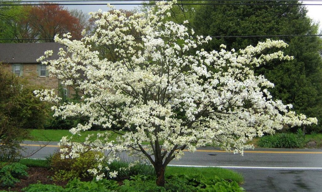 Step Three: Details and Materials