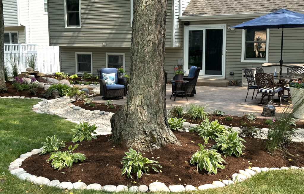Accent Lighting for Trees and Planting